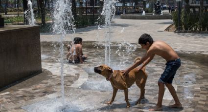 Conagua pronostica temperaturas superiores a los 35 grados en 22 estados debido a la onda de calor en el país