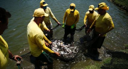 Reinserción social a través de estanques: El Salvador implementa programa de acuacultura para reos comunes