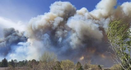 Arizona evacúa más de 700 casas por incendio forestal y declara estado de emergencia