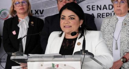 PAN pide el desafuero de la sobrina de AMLO, la diputada de Tamaulipas Úrsula Patricia Salazar, por corrupción