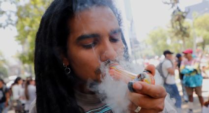 Uso recreativo de la marihuana, en el limbo en México: Congreso no legisla en la materia pese a fallo de la Corte
