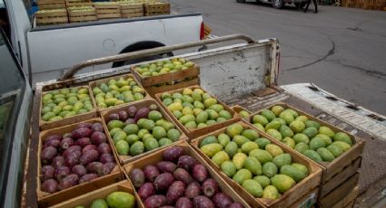 La balanza comercial de México registra un déficit de 4 mil 795 mdd durante el primer trimestre del año?