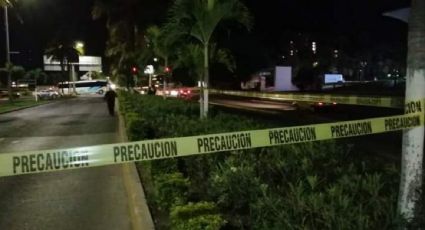 EU emite alerta de viaje para Puerto Vallarta por presencia de fuerzas armadas y enfrentamientos