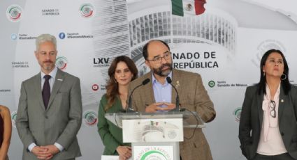 “La furia que dedica AMLO a instituciones y periodistas, debería destinarla a los narcos”, dice el senador Álvarez Icaza