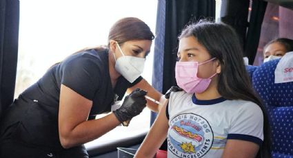 Llegan a México 804 mil dosis de vacunas Pfizer para niños de 5 a 11 años; AMLO prevé que la aplicación comience este fin de semana