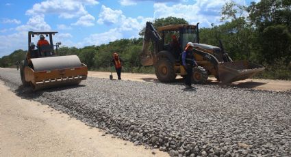 Gobierno federal reanudó las obras en el Tramo 5 del Tren Maya sin autorización, denuncia Selvame del Tren