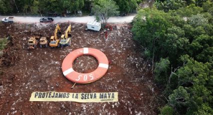 Greenpeace México protesta contra el reinicio de obras en el Tramo 5 del Tren Maya