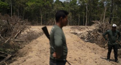 Estudio revela que la policía de Brasil ignoró la deforestación equivalente al tamaño de El Salvador en la Amazonía