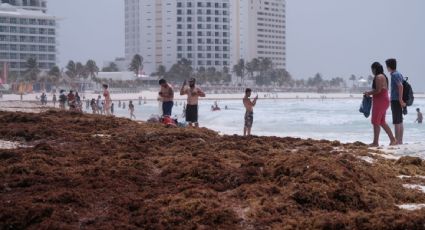 La presencia de sargazo en las playas de México amenaza el repunte turístico del país tras la pandemia, advierte BBVA