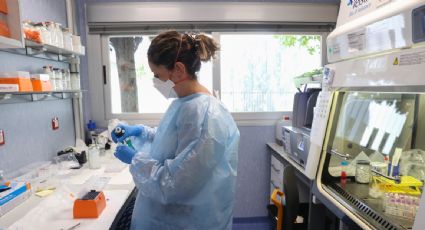 La OMS evaluará declarar emergencia sanitaria por la propagación de la viruela del mono