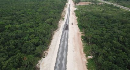 La revocación de tres amparos contra el Tren Maya confirma que las obras cumplen con la normatividad ambiental: Semarnat