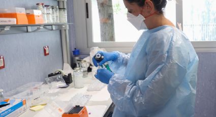 Se han detectado 147 contagios de viruela del mono en 18 entidades, la mayoría en CDMX