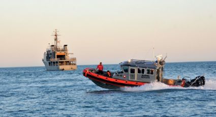 La Semar desarticula al Cártel de la Totoaba por pesca ilegal de la vaquita marina; hay siete detenidos