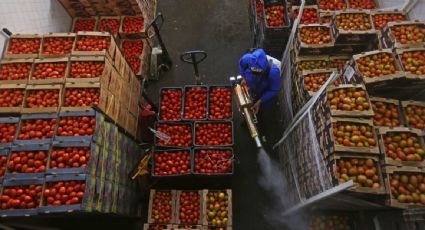 México amplía hasta el 2023 la exención de aranceles en alimentos e insumos agrícolas y ganaderos como medida contra la inflación