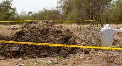 Especialistas y colectivos de desaparecidos perfeccionan método para localizar fosas clandestinas mediante la flora y fauna