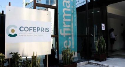 IMSS y Ejército entregan contratos millonarios a distribuidores irregulares de medicamentos fichados por Cofepris
