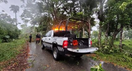 Fuertes lluvias afectan a seis municipios de Veracruz; hay viviendas y carreteras dañadas