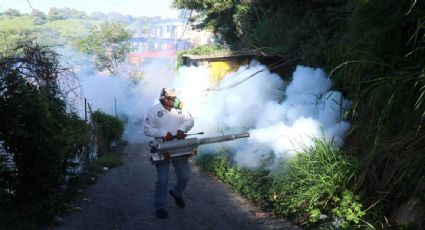 La OMS recomienda la primera vacuna contra el dengue ante el aumento de su transmisión en Latinoamérica