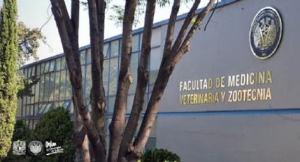 Facultad de Veterinaria de la UNAM suspende clases ante denuncias de alumnos por plaga de chinches