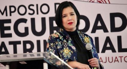 Funcionaria de seguridad de Guanajuato denuncia por violencia a diputados morenistas