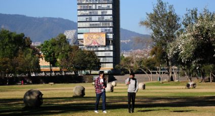 UNAM afirma que es muy poco probable que chinches se alojen en las aulas: "Pueden transmitirse al viajar en transportes de pasajeros"