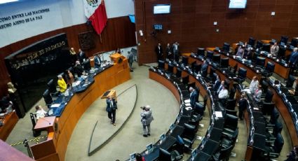 Senadores de Morena boicotean nombramiento de magistradas para la Sala Especializada del Tribunal Electoral