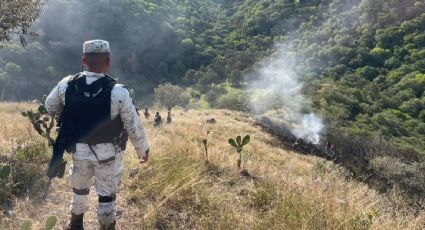 Hay cuatro personas muertas por la caída en Morelos de una avioneta usada como ambulancia aérea