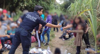 Autoridades hallan a 72 migrantes que viajaban en tres camiones en Veracruz