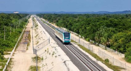 Gobierno de AMLO expropia 90 inmuebles privados para la construcción de cinco tramos del Tren Maya