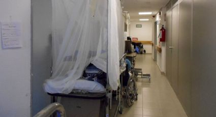 Fallece un segundo niño por dengue en Guanajuato en menos de una semana