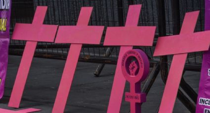 Detienen en Guanajuato al presunto feminicida de Anaís de Lourdes