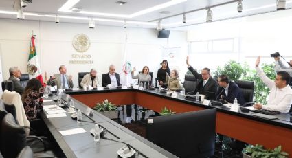 Senadores de la 4T en la Comisión de Justicia avalan la idoneidad de la terna de AMLO para ministra de la Suprema Corte