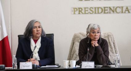 Consejera jurídica de AMLO afirma que si llega a ministra, no seguirá órdenes del presidente que vayan contra sus convicciones