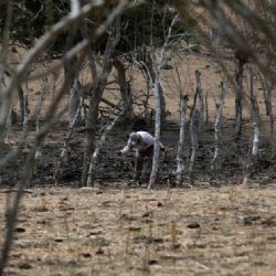 Nuevo pronóstico confirma que se espera un fenómeno de El Niño muy intenso para 2026: The Washington Post