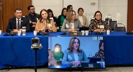El INAI y organizaciones civiles advierten ante la CIDH que el acceso a la información en México peligra por la falta de comisionados