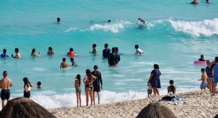 Buzo fallece por el ataque de un tiburón en playa de Sonora