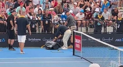 Serpiente venenosa 'interrumpe' partido de tenis en Brisbane entre Thiem y McCabe