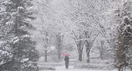 Seúl registra su peor nevada decembrina en los últimos 40 años