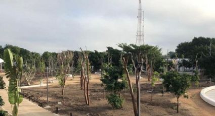 Visitantes denuncian hostigamiento de militares en un parque recién inaugurado por AMLO en Mérida