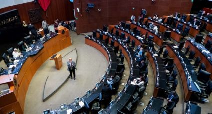 Senado aprueba en comisión la elegibilidad de María Eréndira Cruzvillegas como ministra para la Corte; pasa al pleno