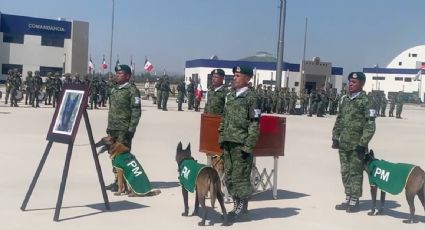 Reciben a rescatistas mexicanos que fueron a Turquía con homenaje para Proteo, binomio canino que falleció en las labores de búsqueda