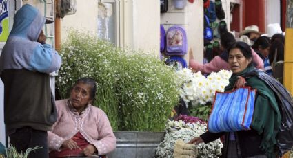 Más de 40 organizaciones condenan la liberación de una mujer acusada de trata de indígenas con fines de explotación laboral en Puebla