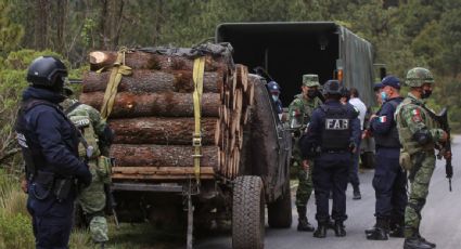 La Profepa debe informar sobre la tala ilegal en la CDMX de 2018 a 2022, determina el INAI