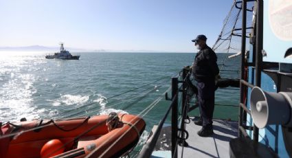 México intenta evadir sanciones comerciales ante la inminente extinción de la vaquita marina