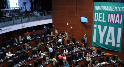 Senado suspende sesión en medio de discusiones por la falta de designación de comisionados del INAI