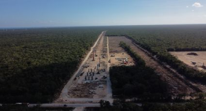 Comisión del T-MEC recomienda al gobierno investigación sobre la evaluación del impacto ambiental del Tren Maya