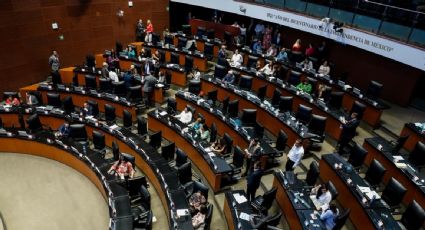 Armenta descarta aprobación fast track en el Senado de las iniciativas aprobadas por diputados en jornada maratónica