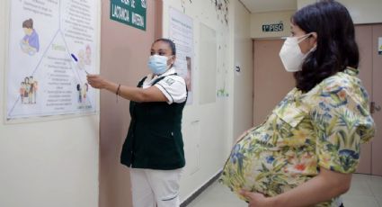 Morena presenta iniciativa contra la discriminación laboral por embarazo