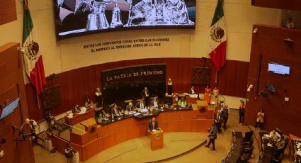 Juez analiza recurso que permitiría que se ordene al Senado designar en sesión extraordinaria a comisionado del INAI