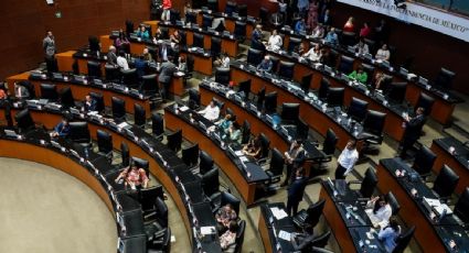 El Senado reserva información sobre el proceso del amparo promovido en su contra para que se designen a comisionados del INAI